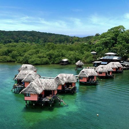 Eclypse De Mar Acqua Lodge Bastimentos Eksteriør bilde