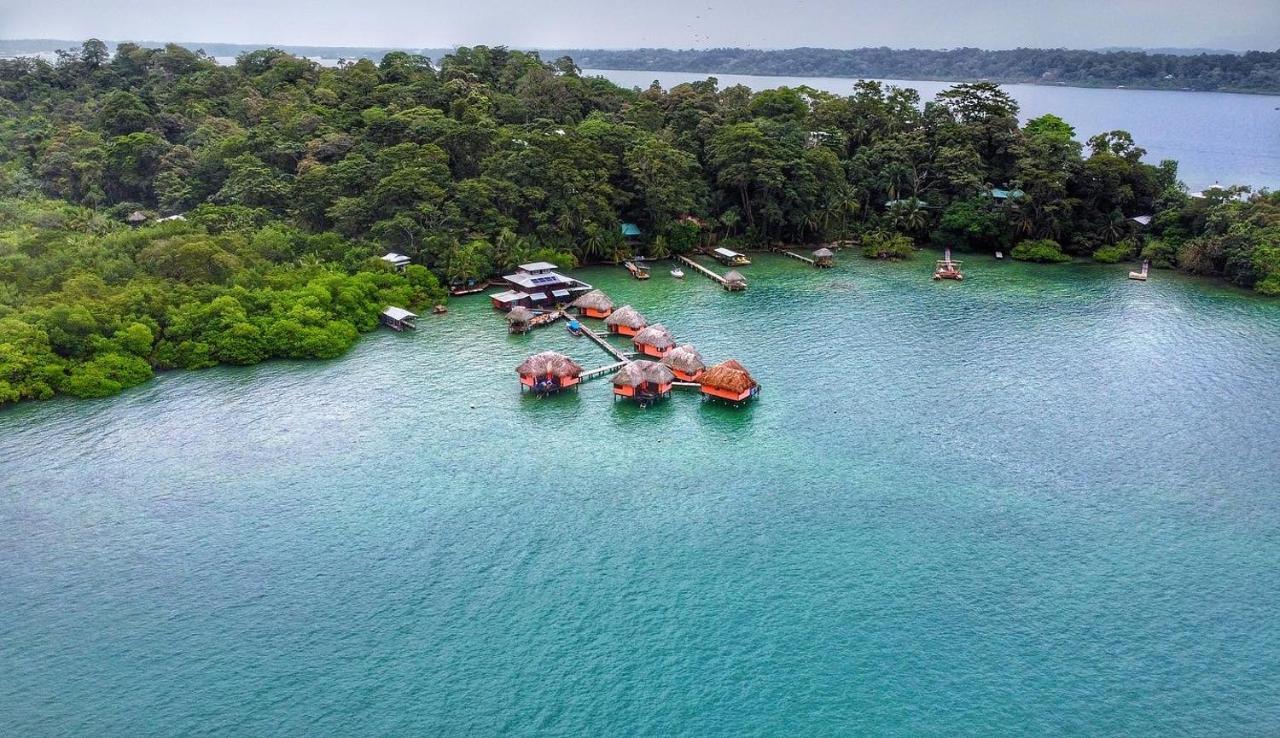 Eclypse De Mar Acqua Lodge Bastimentos Eksteriør bilde