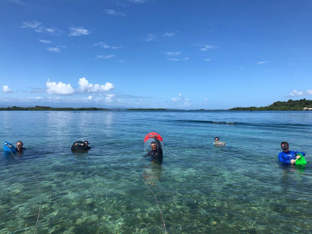 Eclypse De Mar Acqua Lodge Bastimentos Eksteriør bilde