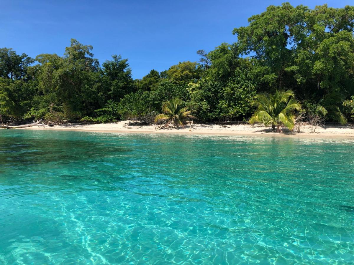 Eclypse De Mar Acqua Lodge Bastimentos Eksteriør bilde