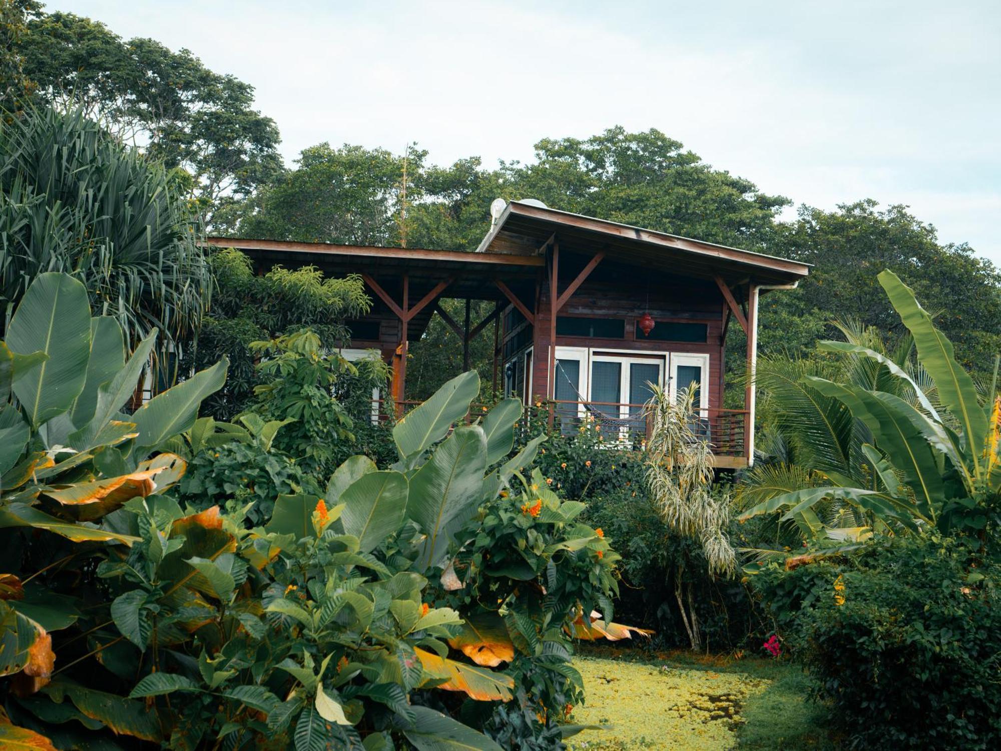 Eclypse De Mar Acqua Lodge Bastimentos Rom bilde